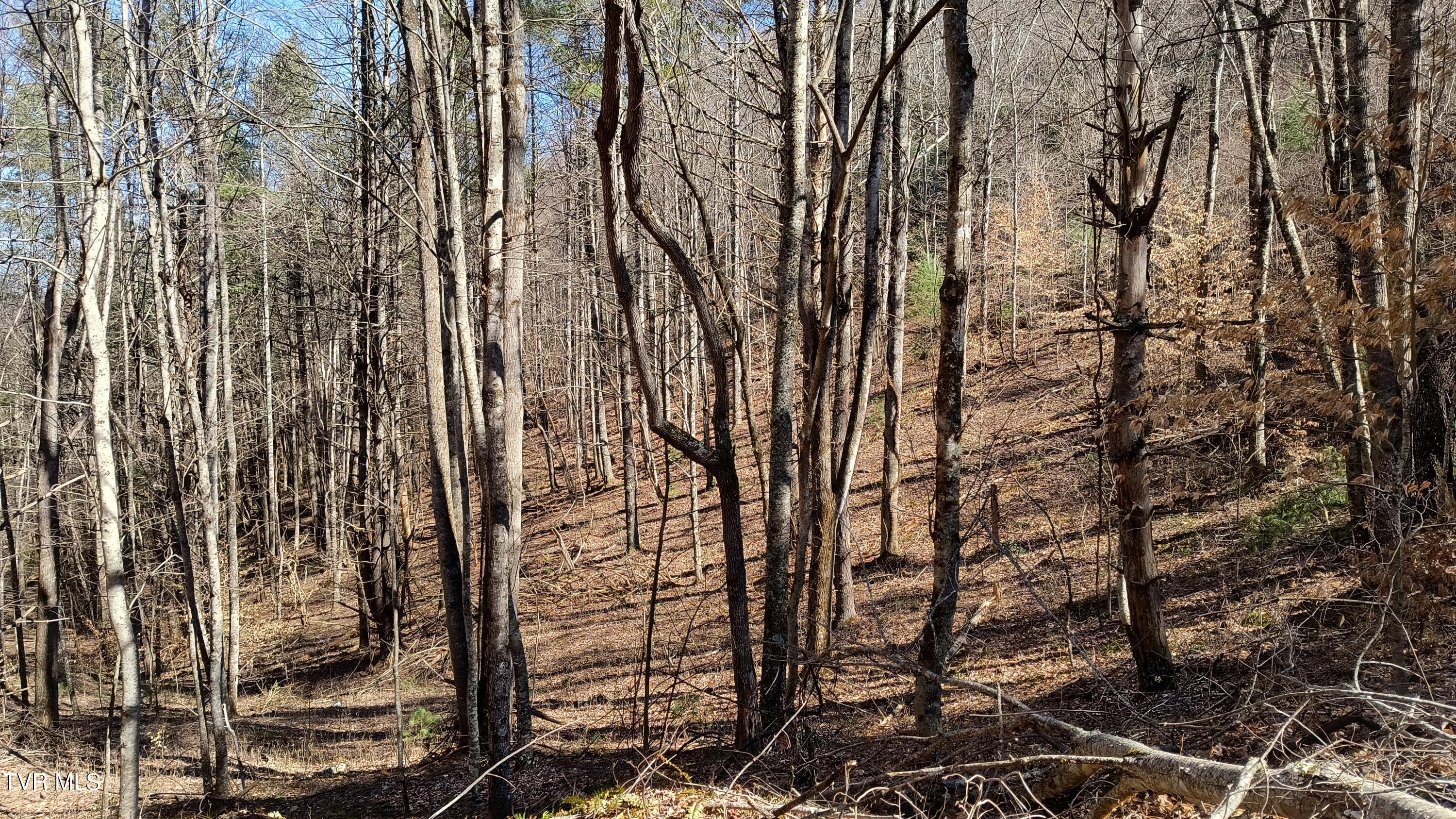 841 Green Road Butler, TN 37640 - Photo 22 of 55 IMG_20250225_132846243_HDR