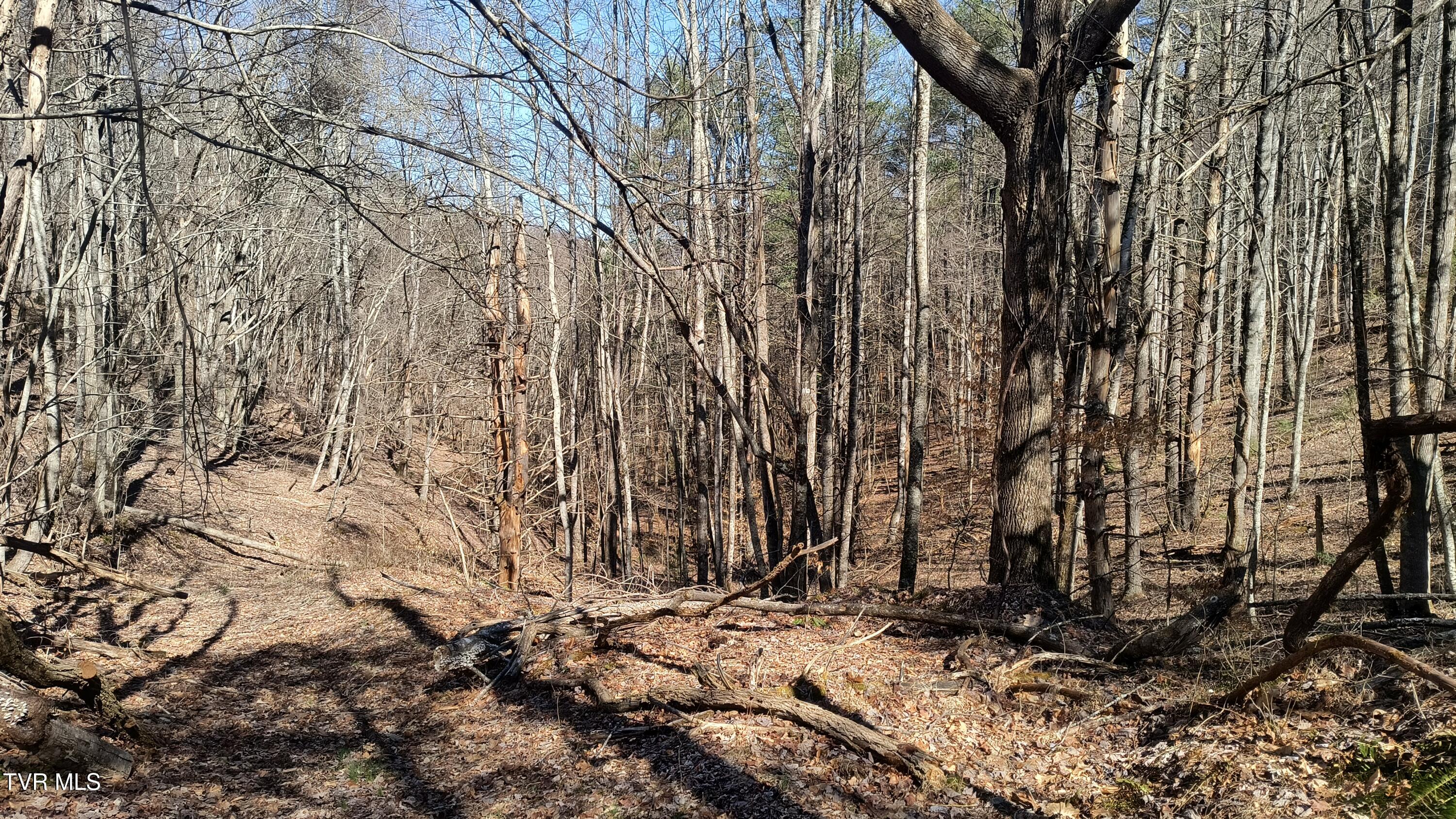 841 Green Road Butler, TN 37640 - Photo 23 of 55 IMG_20250225_132829831_HDR