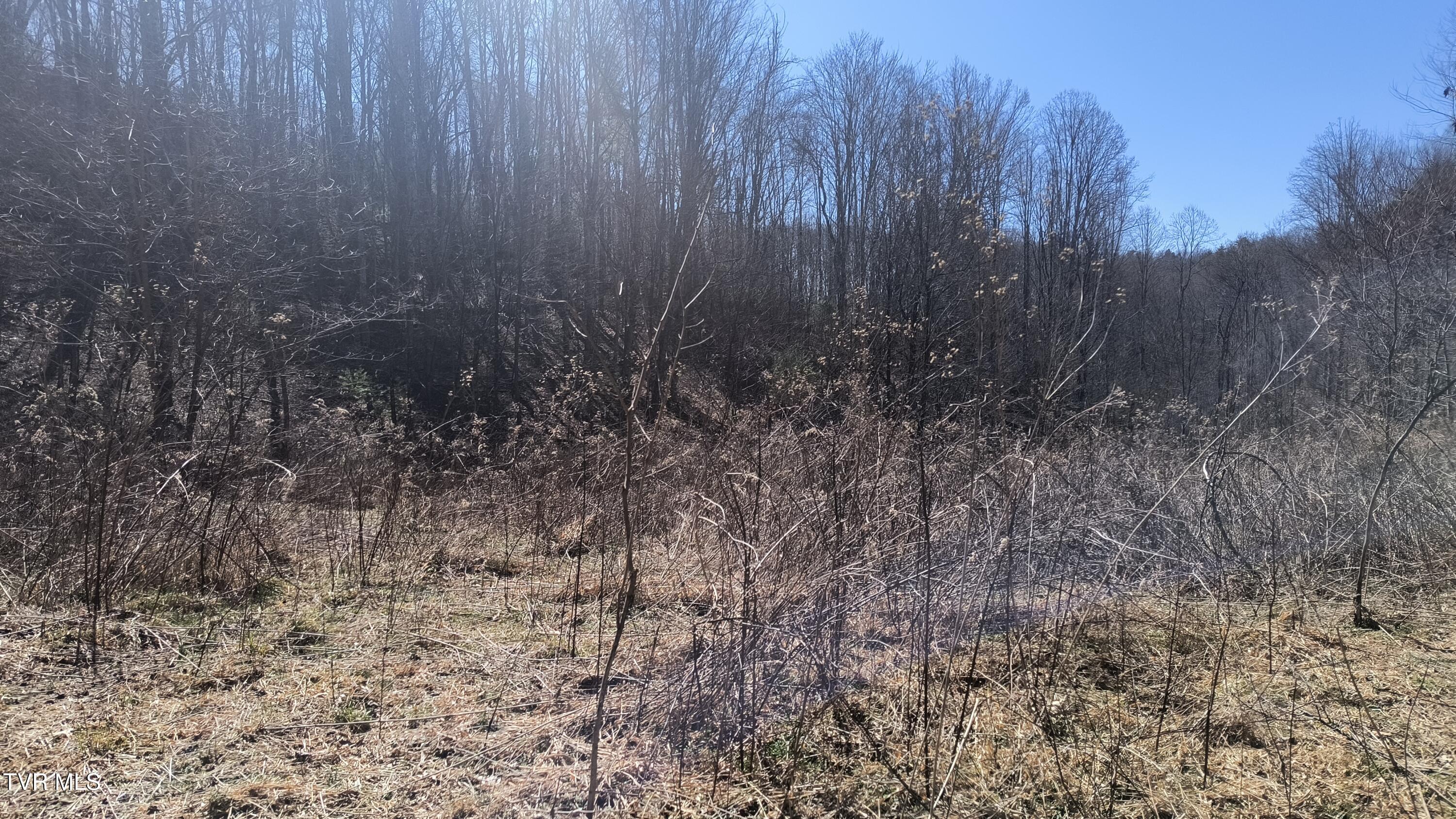 841 Green Road Butler, TN 37640 - Photo 24 of 55 Upper plateau