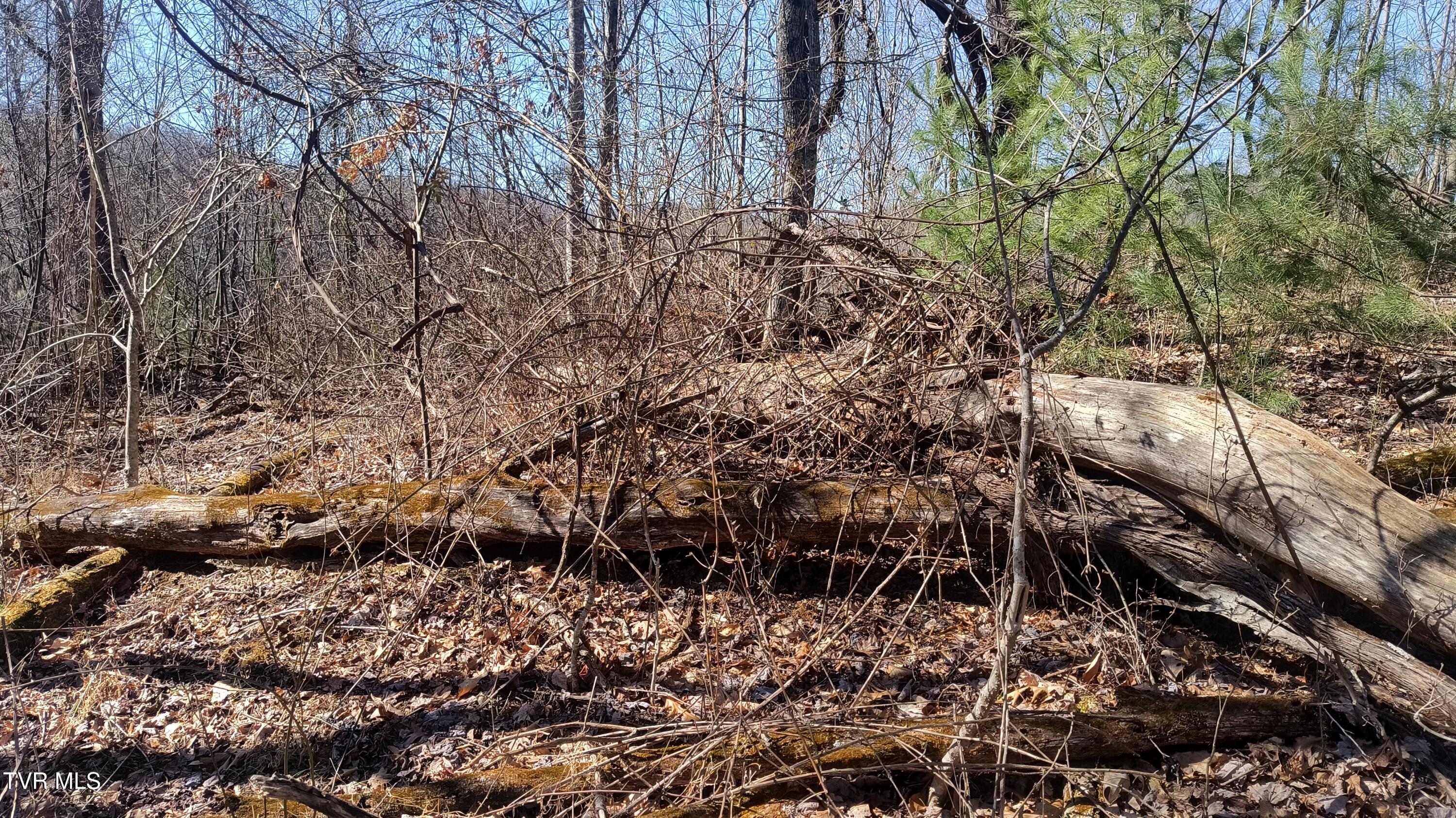 841 Green Road Butler, TN 37640 - Photo 25 of 55 IMG_20250225_131438080_HDR