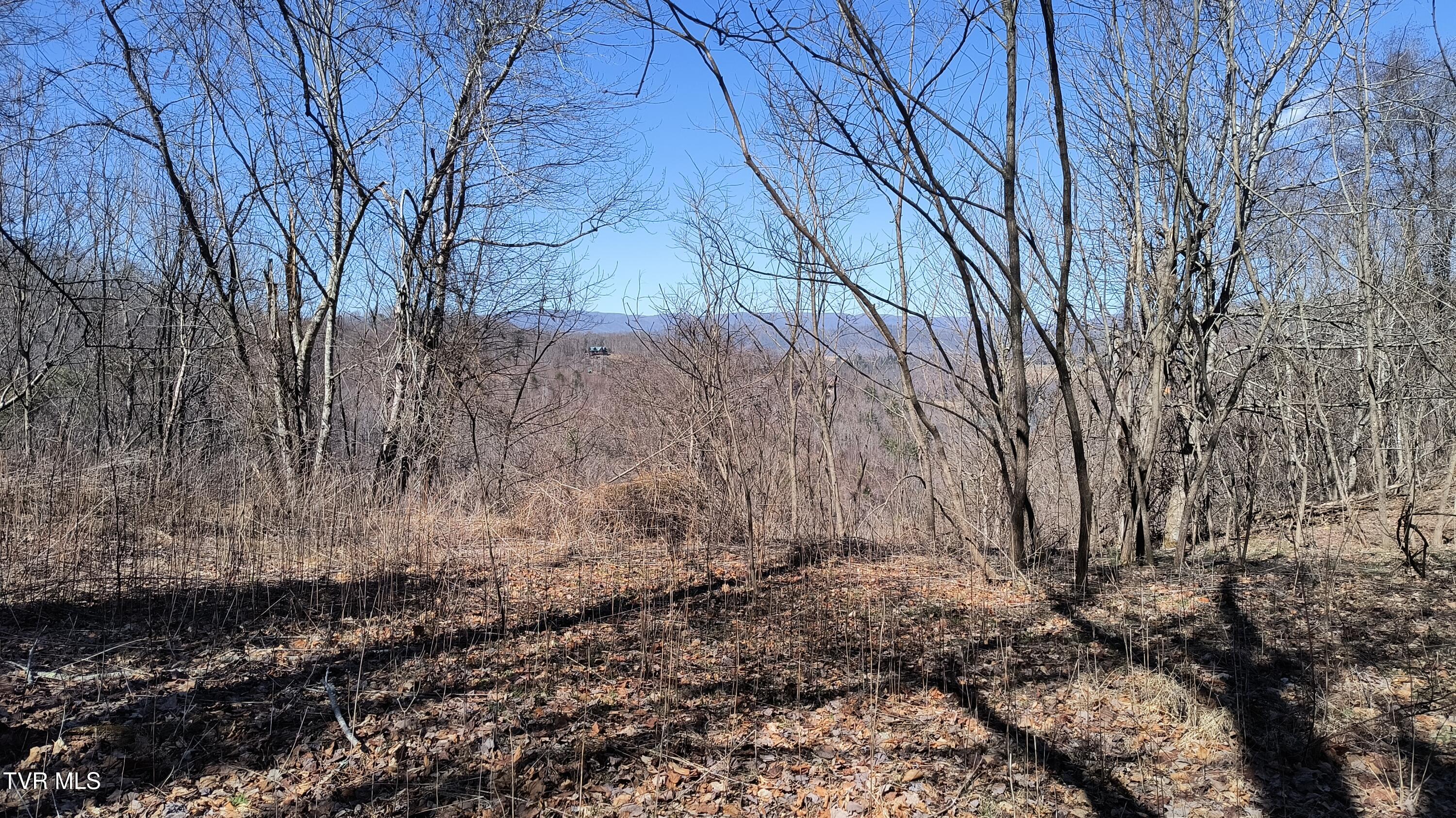 841 Green Road Butler, TN 37640 - Photo 26 of 55 IMG_20250225_131236188