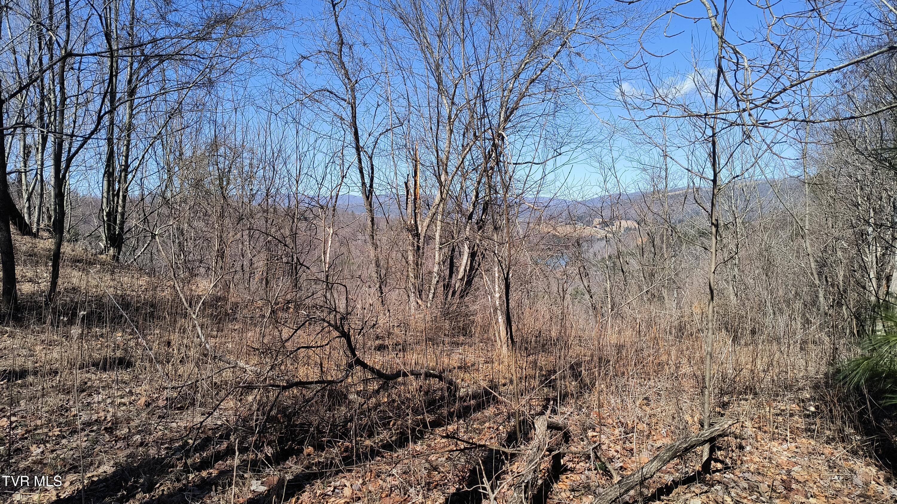 841 Green Road Butler, TN 37640 - Photo 27 of 55 IMG_20250225_131207343