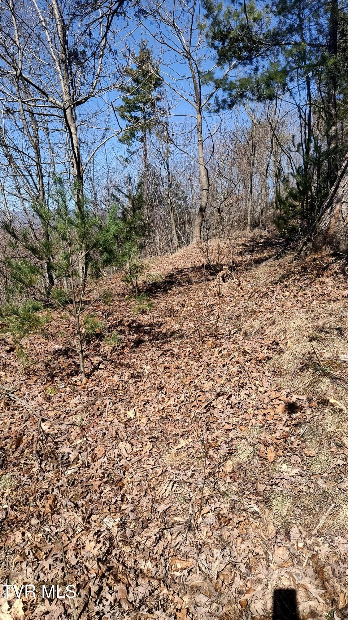 841 Green Road Butler, TN 37640 - Photo 28 of 55 IMG_20250225_131848992_HDR