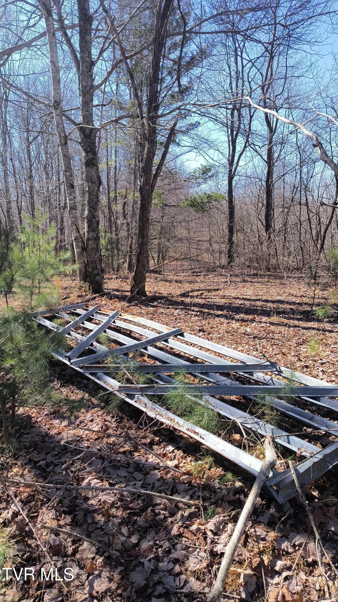 841 Green Road Butler, TN 37640 - Photo 29 of 55 Fence at upper property line