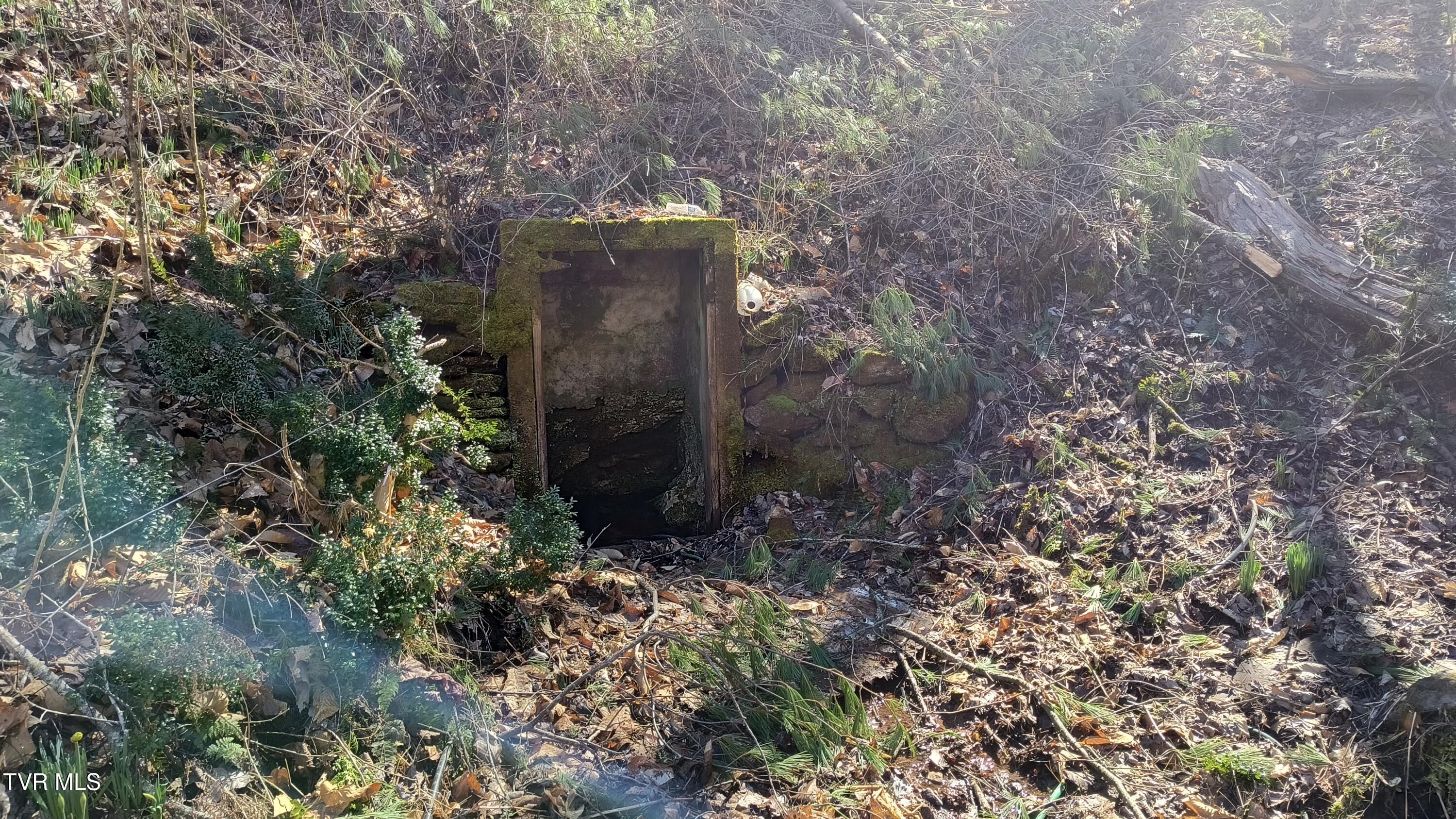 841 Green Road Butler, TN 37640 - Photo 40 of 55 Spring box