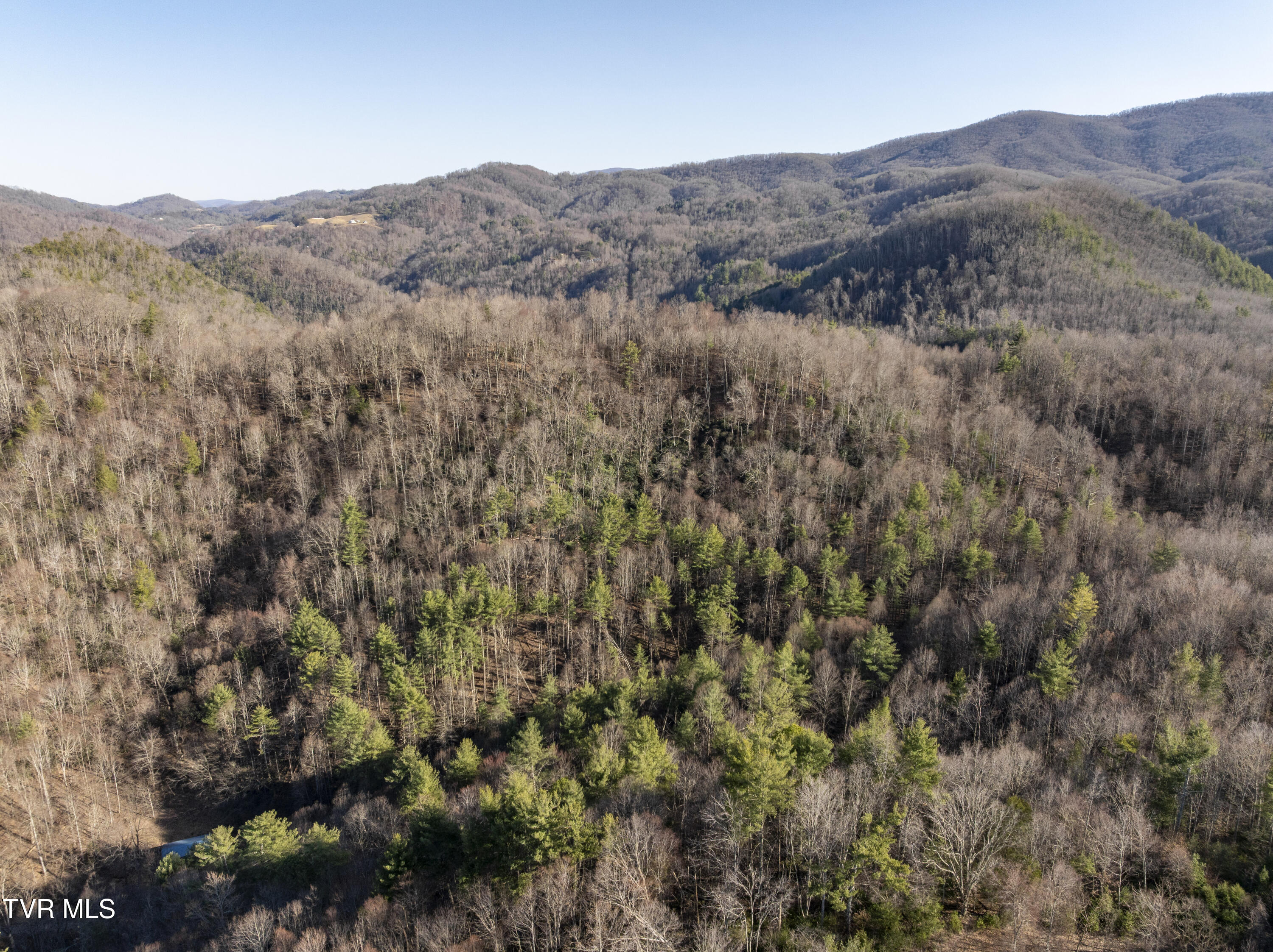 841 Green Road Butler, TN 37640 - Photo 41 of 55 Green-Aerials-8