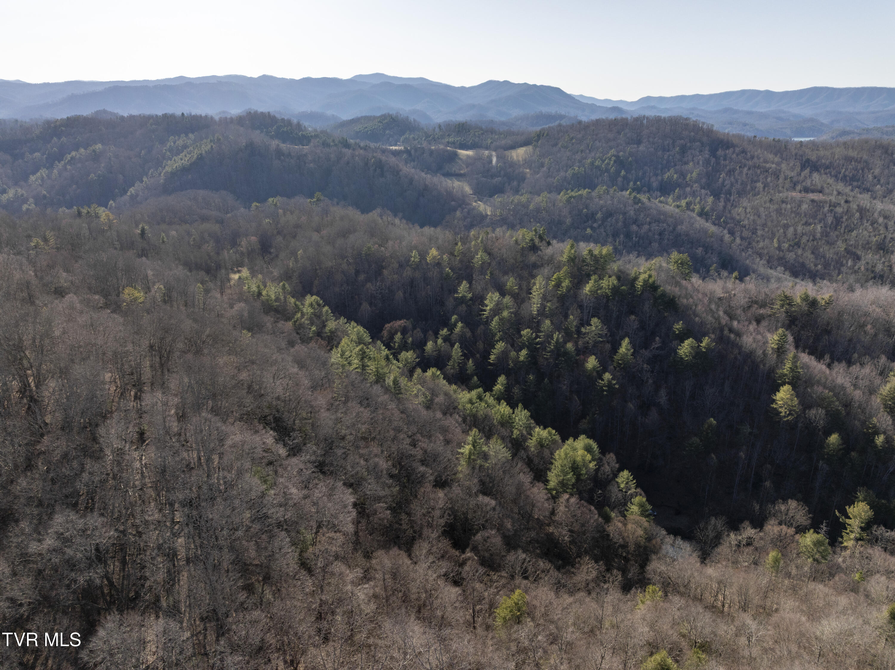 841 Green Road Butler, TN 37640 - Photo 46 of 55 Green-Aerials-14