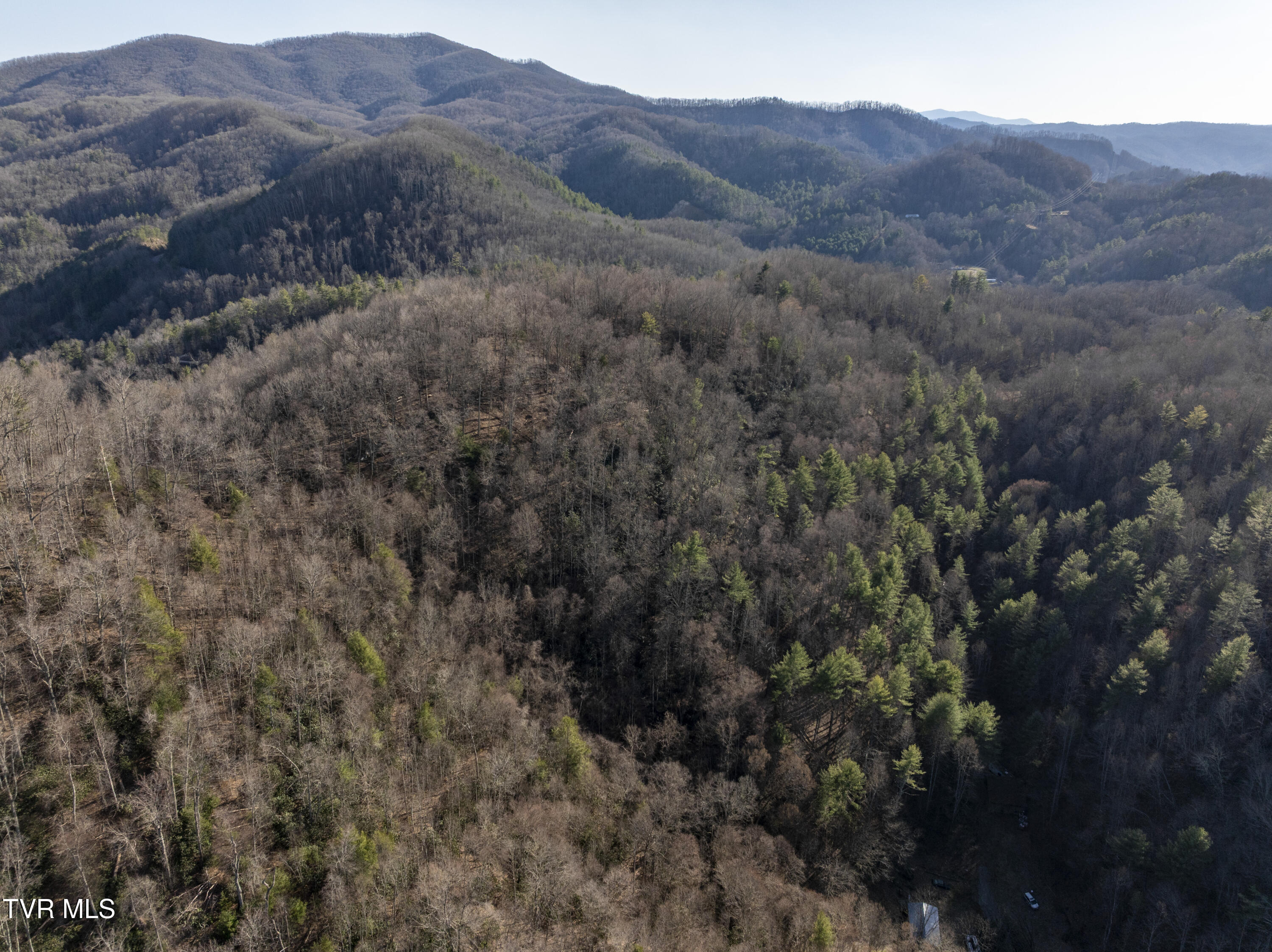 841 Green Road Butler, TN 37640 - Photo 48 of 55 Green-Aerials-16