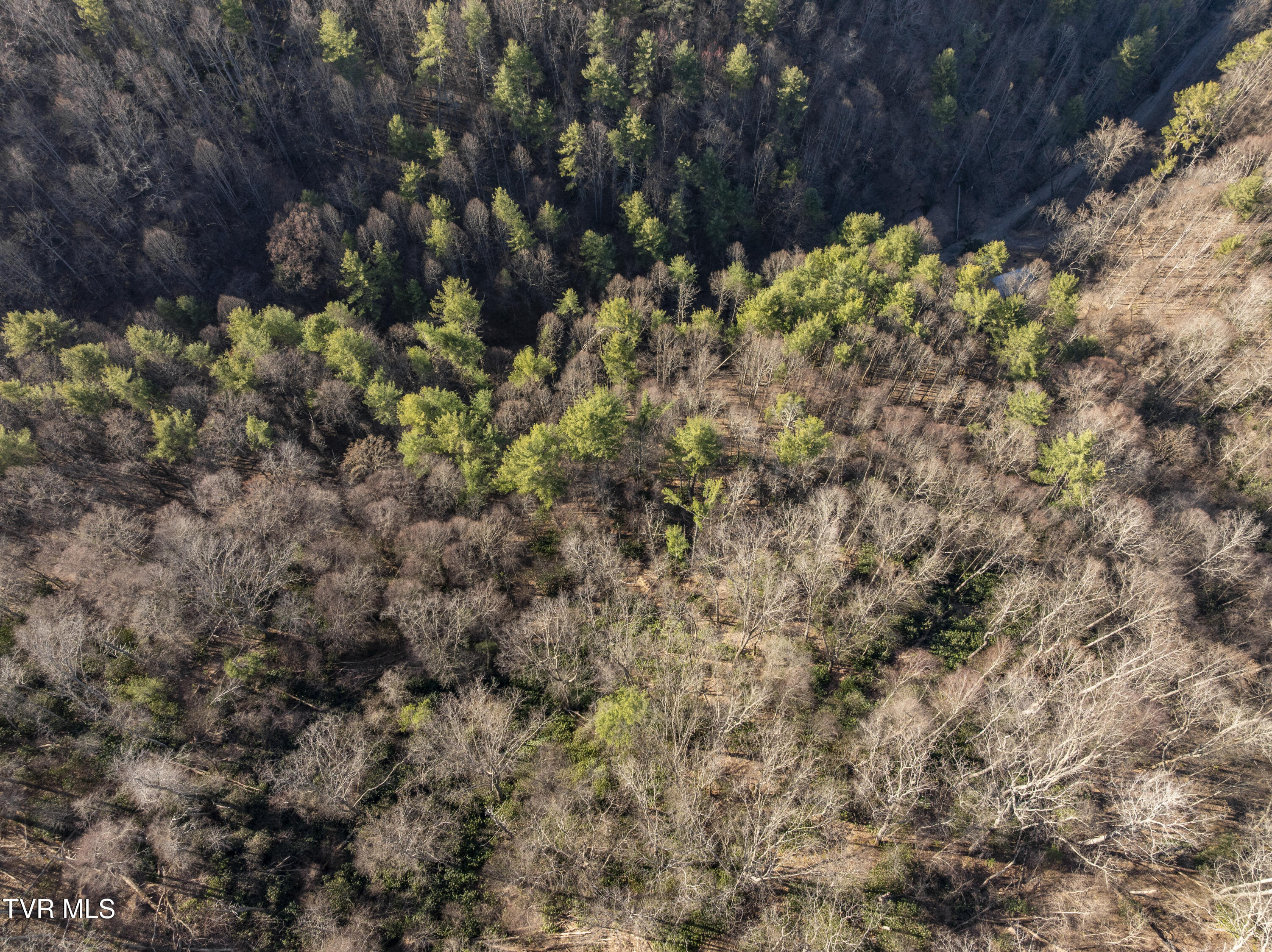 841 Green Road Butler, TN 37640 - Photo 5 of 55 Green-Aerials-21