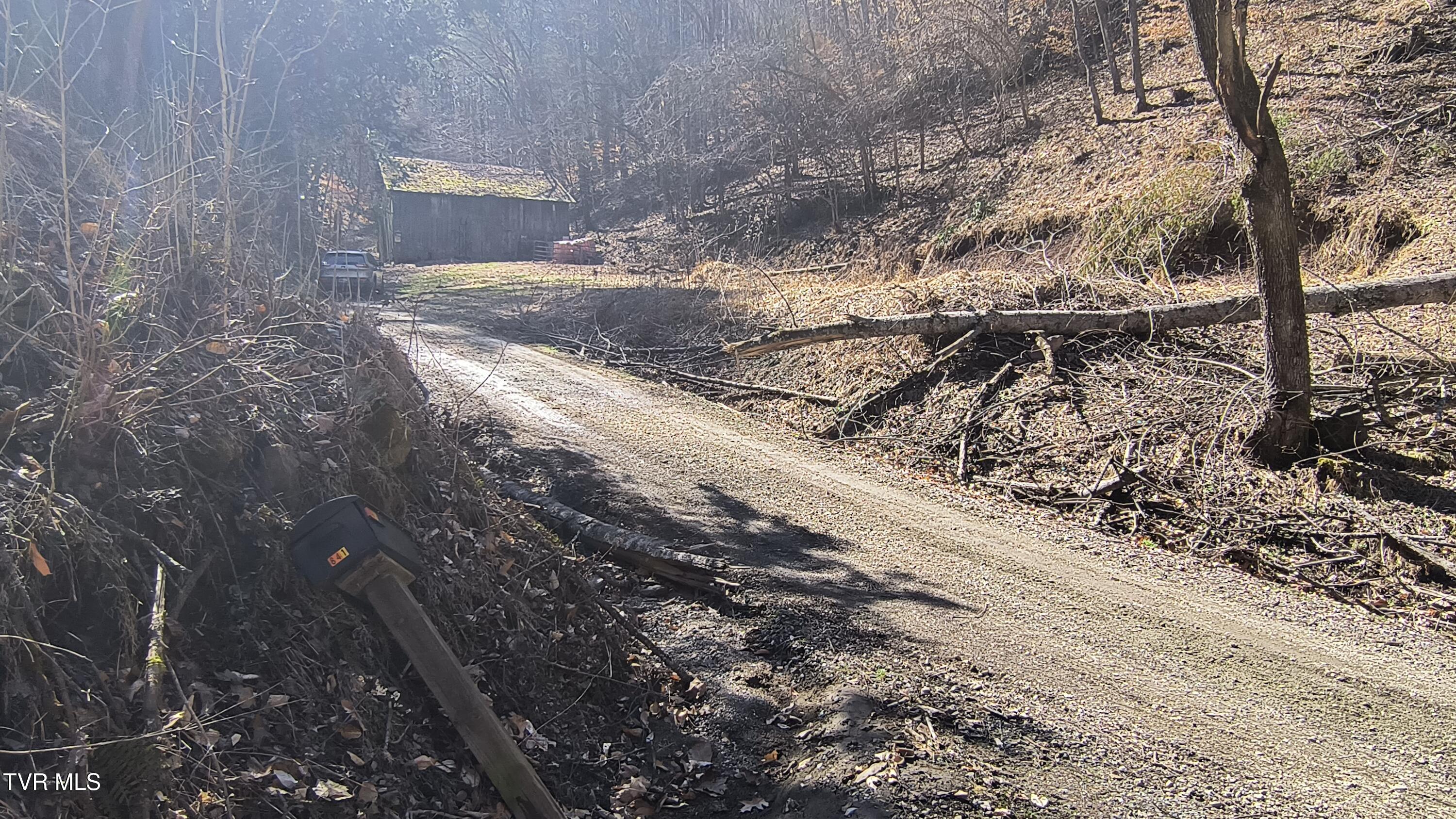 841 Green Road Butler, TN 37640 - Photo 10 of 55 Driveway