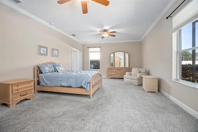 a spacious bedroom with a bed a couch and dresser