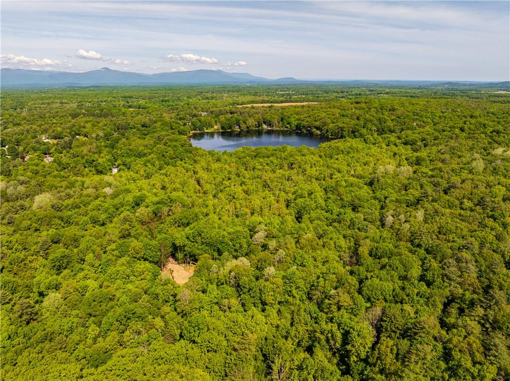 15 Snyderville Road Elizaville, NY 12523 - Photo 3 of 10 Birds eye view of property with north lake and Catskill mountain view