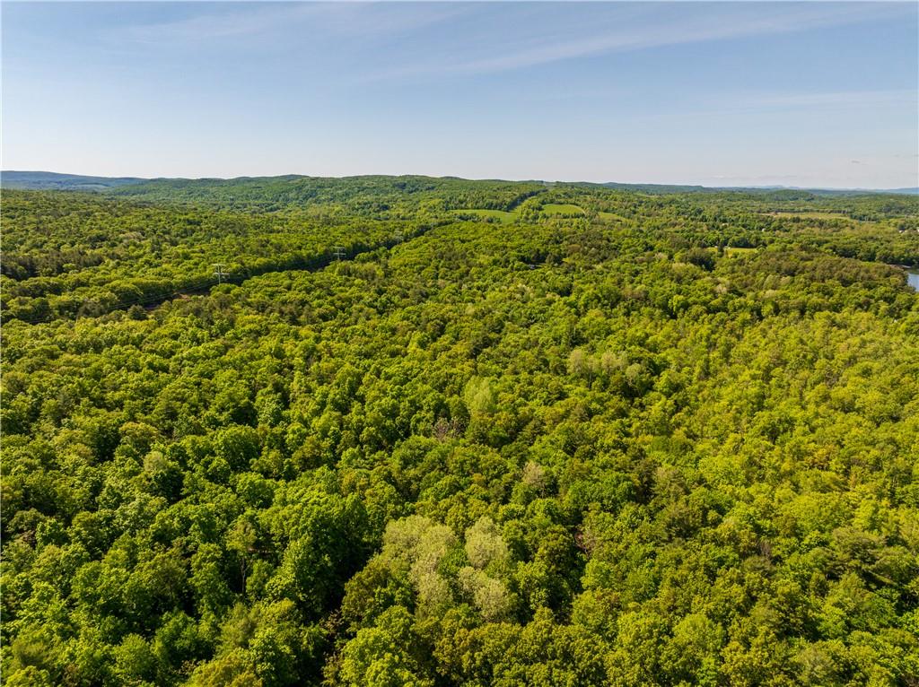 15 Snyderville Road Elizaville, NY 12523 - Photo 6 of 10 Aerial view