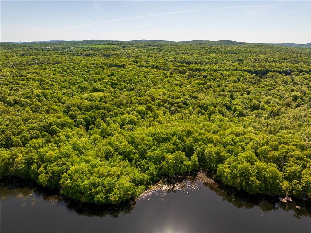 15 Snyderville Road Elizaville, NY 12523 - Photo 7 of 10 Aerial view with a water view