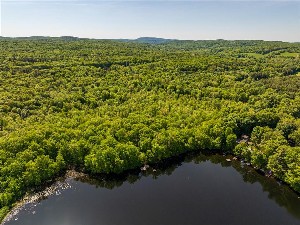 15 Snyderville Road Elizaville, NY 12523 - Photo 8 of 10 Aerial view featuring a water view