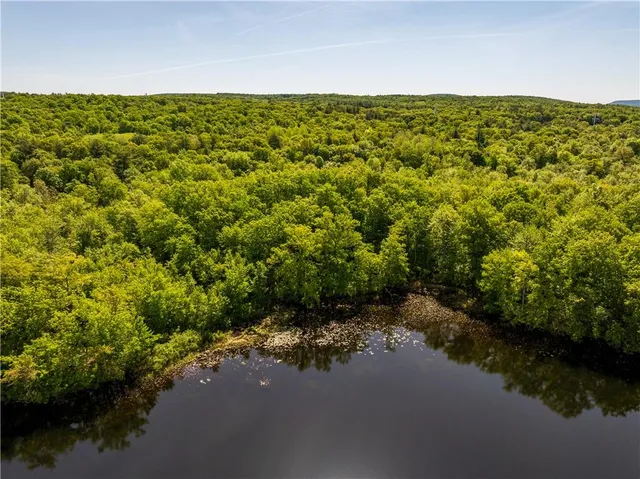 $1,900,000 | 15 Snyderville Road, Elizaville, NY 12523