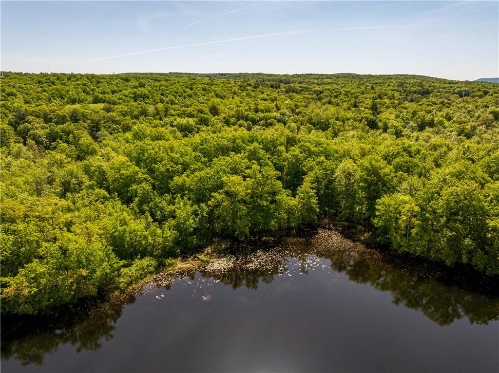 15 Snyderville Road Elizaville, NY 12523 - Photo 9 of 10 Aerial view with a water view