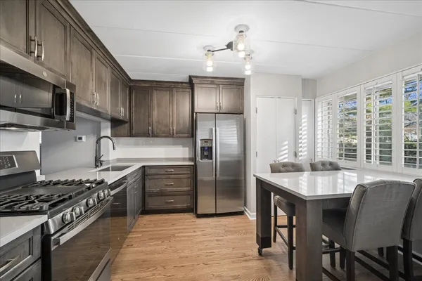 $2,450 | 319 Vine Avenue, Unit A, Park Ridge, IL 60068
