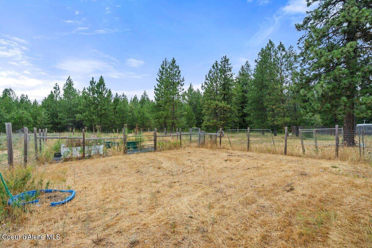 27453 North Ramsey Road Athol, ID 83801 - Photo 38 of 53 Back yard 2