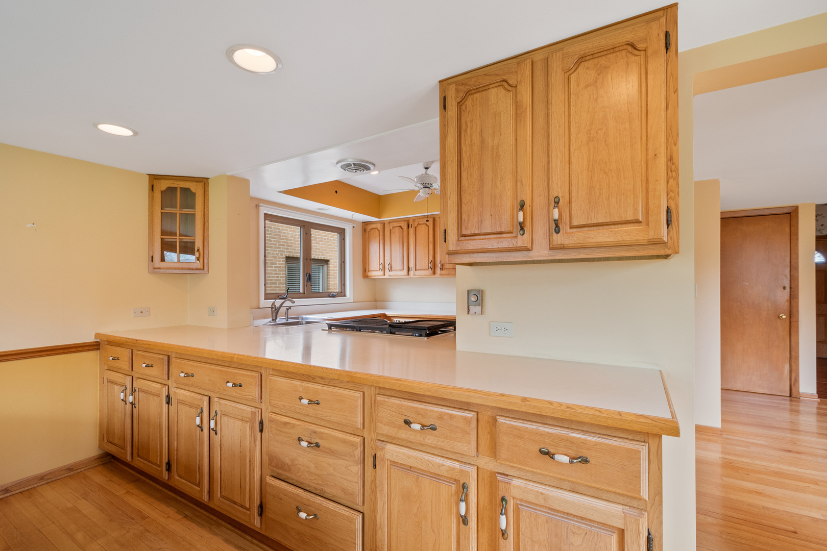 1104 South Aldine Avenue Park Ridge, IL 60068 - Photo 12 of 35