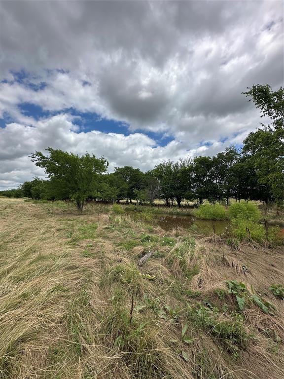 Tbd Krahl Road Valley View, TX 76272 - Photo 18 of 23 Creek