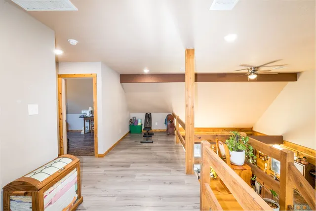 a view of a trees and a yard