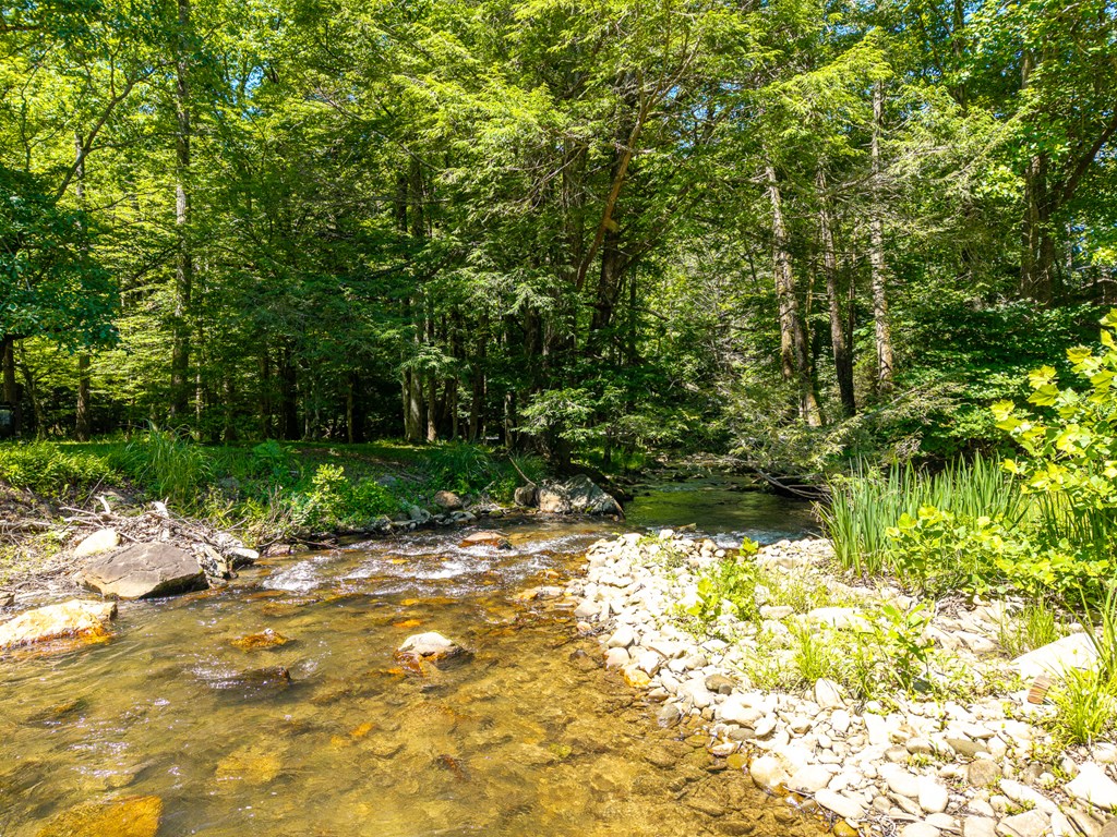 775 Mountain Oak Road Ellijay, GA 30536 - Photo 102 of 106 Amenities