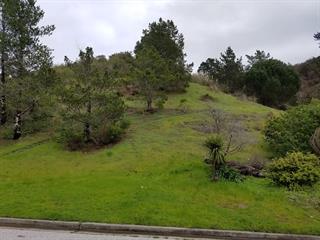 a view of a big yard with lots of green space
