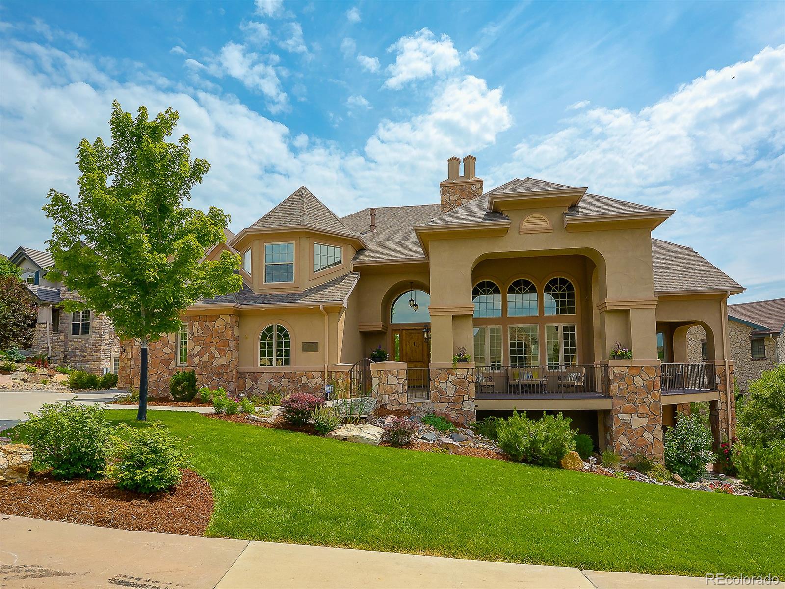 1047 Buffalo Ridge Road Castle Pines, CO 80108 - Photo 4 of 35 Gallery Image 4