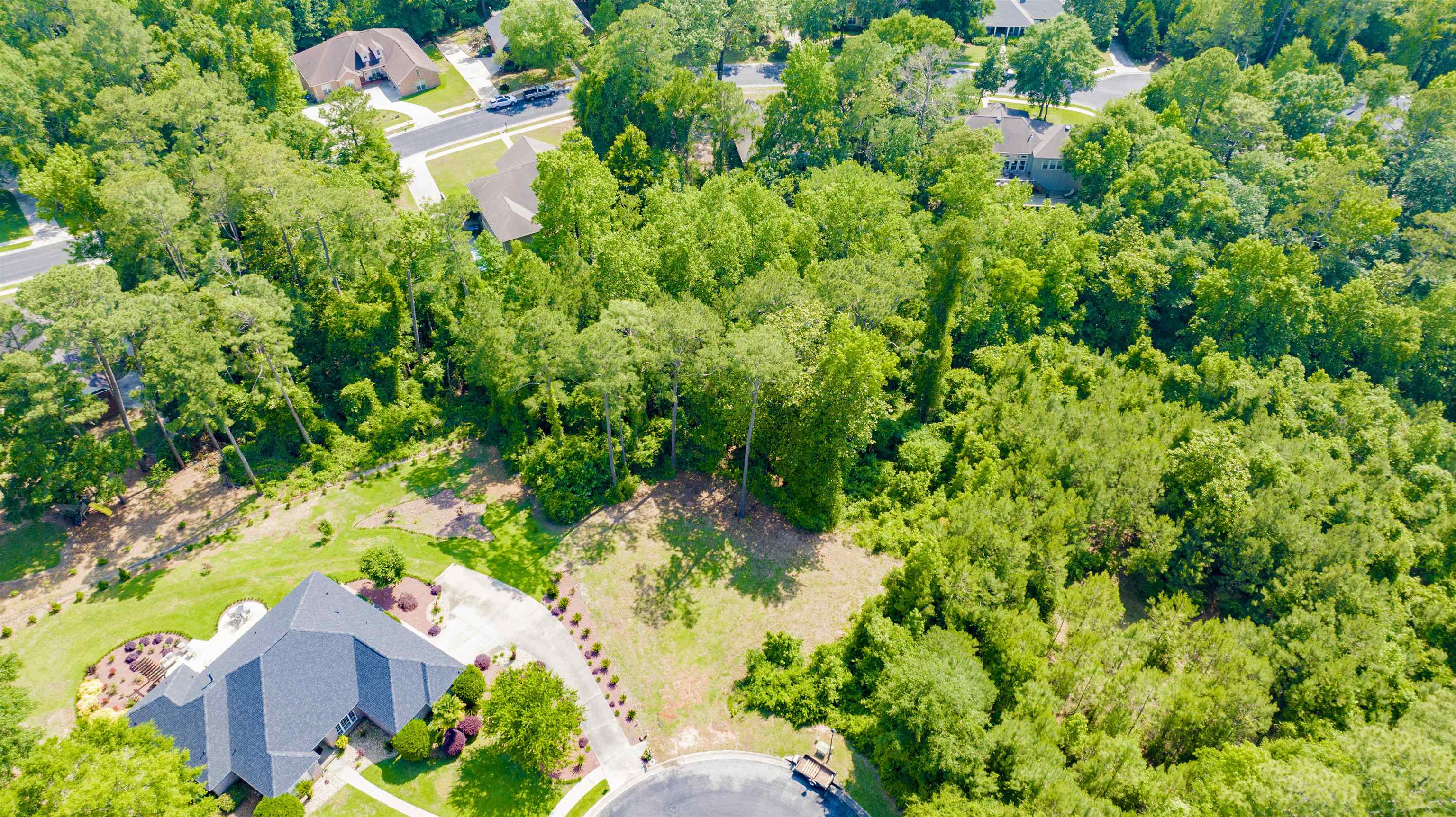 9 Judd Trail Daphne, AL 36527 - Photo 10 of 13