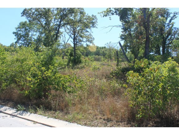 28 Lake Wood Drive Reeds Spring, MO 65737 - Photo 1 of 1 Primary Photo