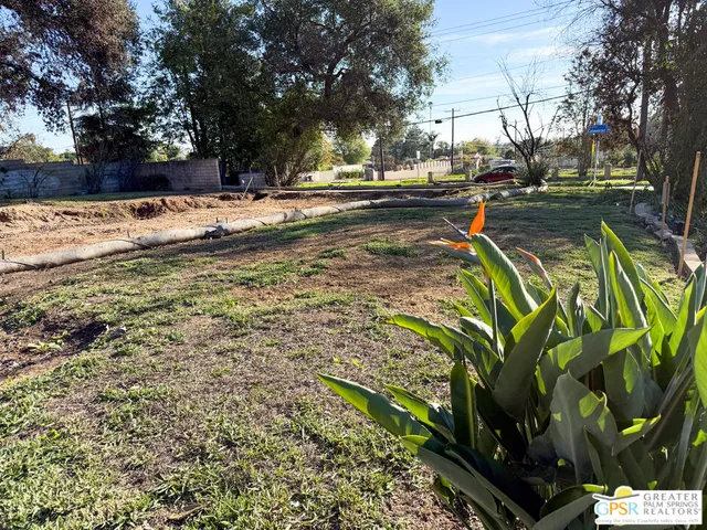 a view of a yard with plants