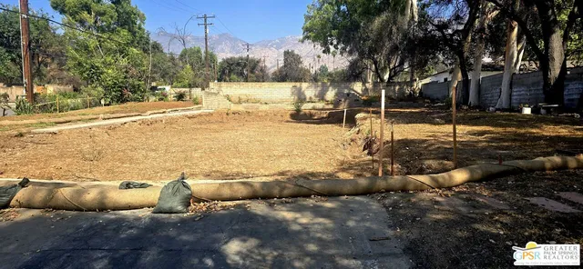 a view of a yard with some trees
