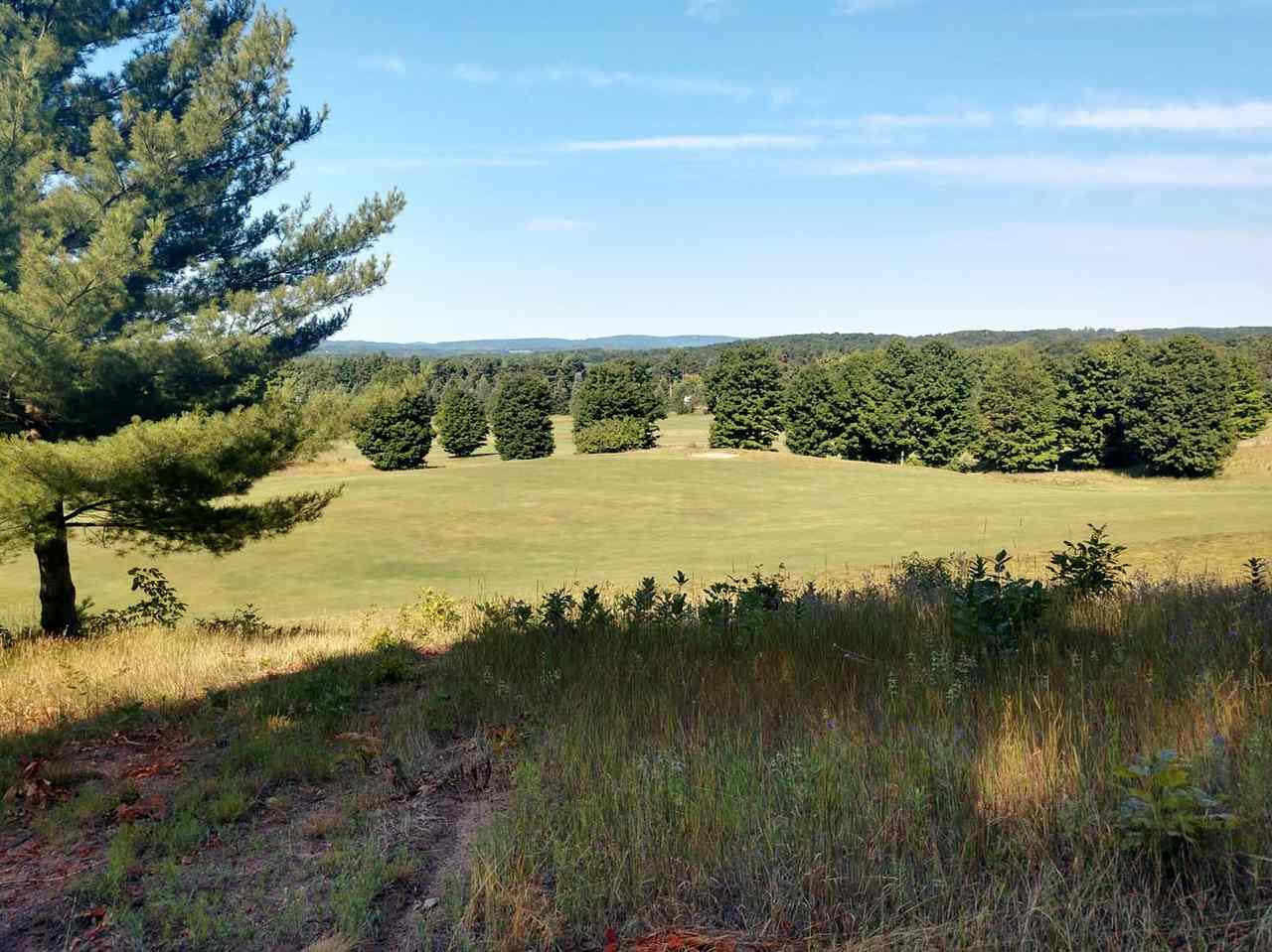 8 Heather Ridge Trail Beulah, MI 49617 - Photo 6 of 9