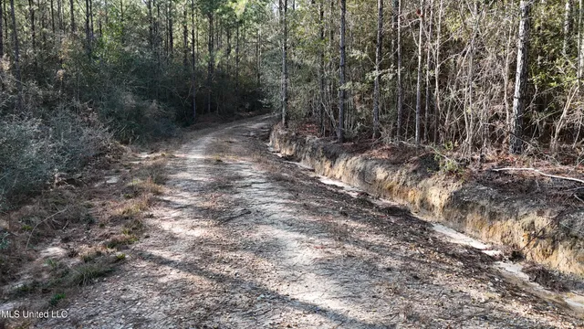 $269,000 | 588 Old Highway 26, Perkinston, MS 39573