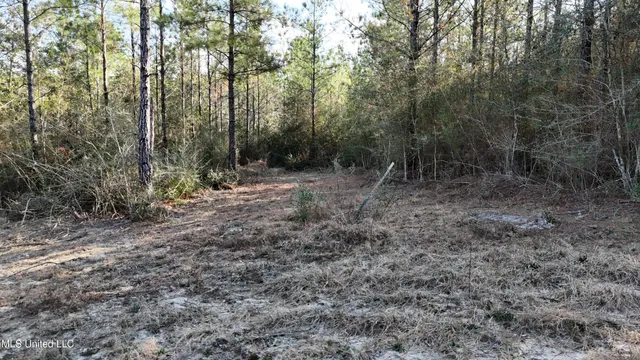 $269,000 | 588 Old Highway 26, Perkinston, MS 39573