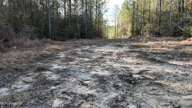 $269,000 | 588 Old Highway 26, Perkinston, MS 39573