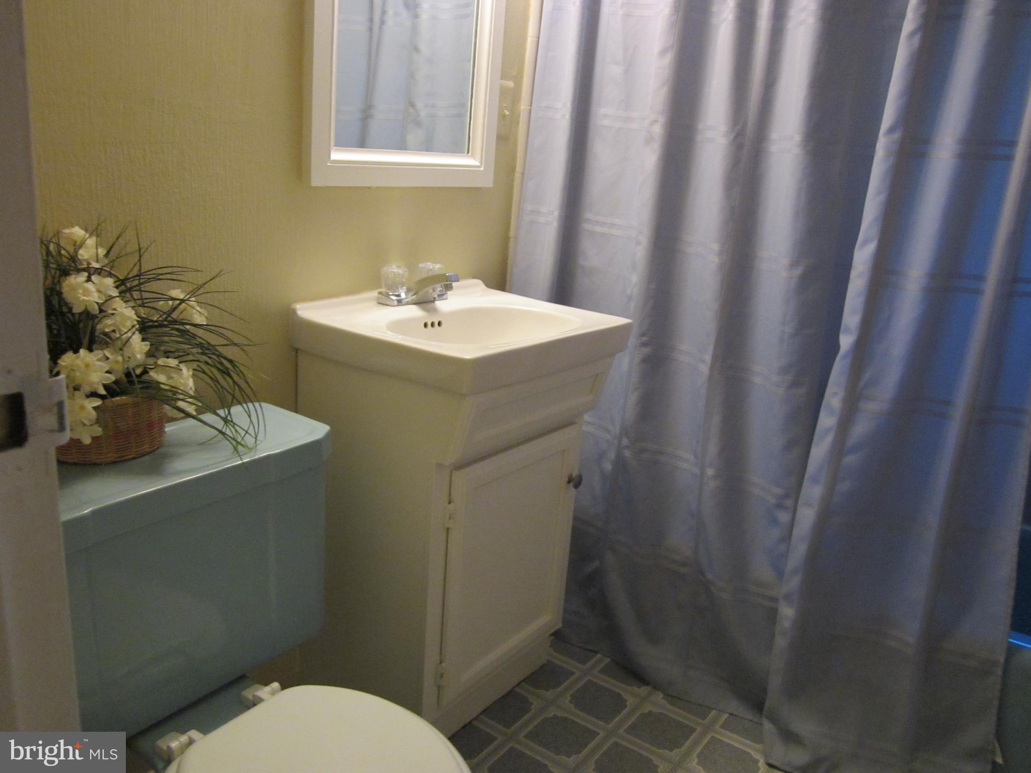 7006 Catlett Street Springfield, VA 22151 - Photo 22 of 30 Bath