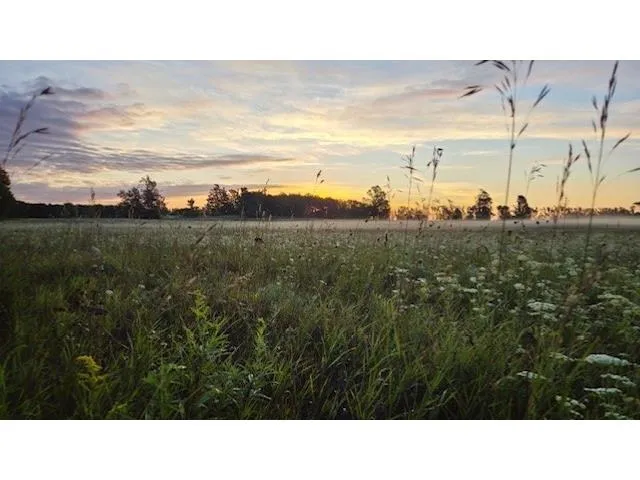 $285,000 | Wildwood Court, Ellison Bay, WI 54210