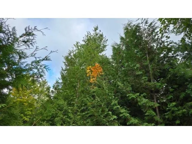 $285,000 | Wildwood Court, Ellison Bay, WI 54210