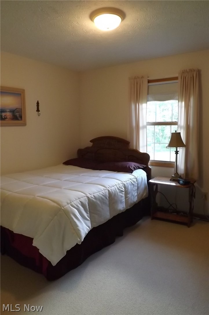 4553 Wood Road Madison, OH 44057 - Photo 12 of 14