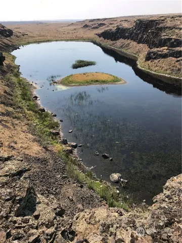 a view of a dry field with trees in the background