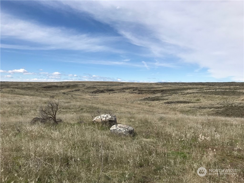 32761 Northeast K Road Coulee City, WA 99115 - Photo 8 of 27 a view of an ocean