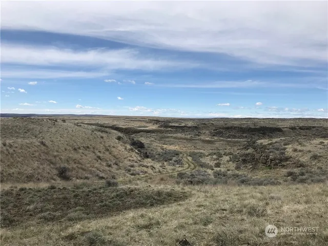 a view of an ocean beach
