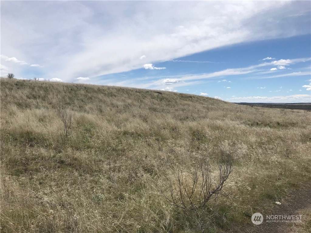 32761 Northeast K Road Coulee City, WA 99115 - Photo 10 of 27