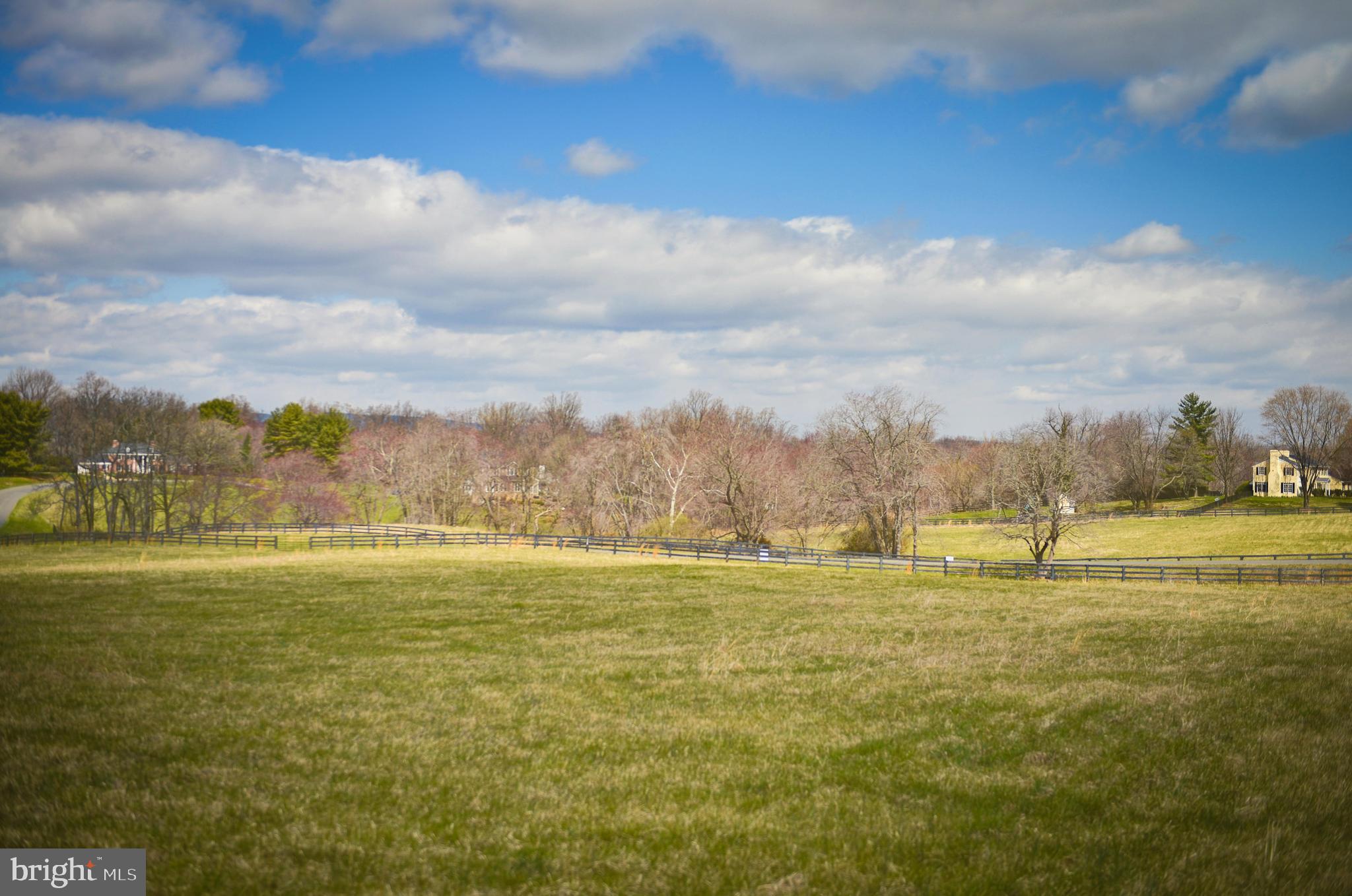 Middleburg Downs Middleburg, VA 20117 - Photo 5 of 6