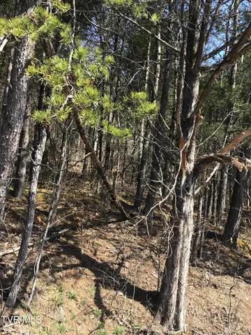 $22,705 | 3 West Andrew Johnson Highway, Unit LOT 3 ONLY, Bulls Gap, TN 37711