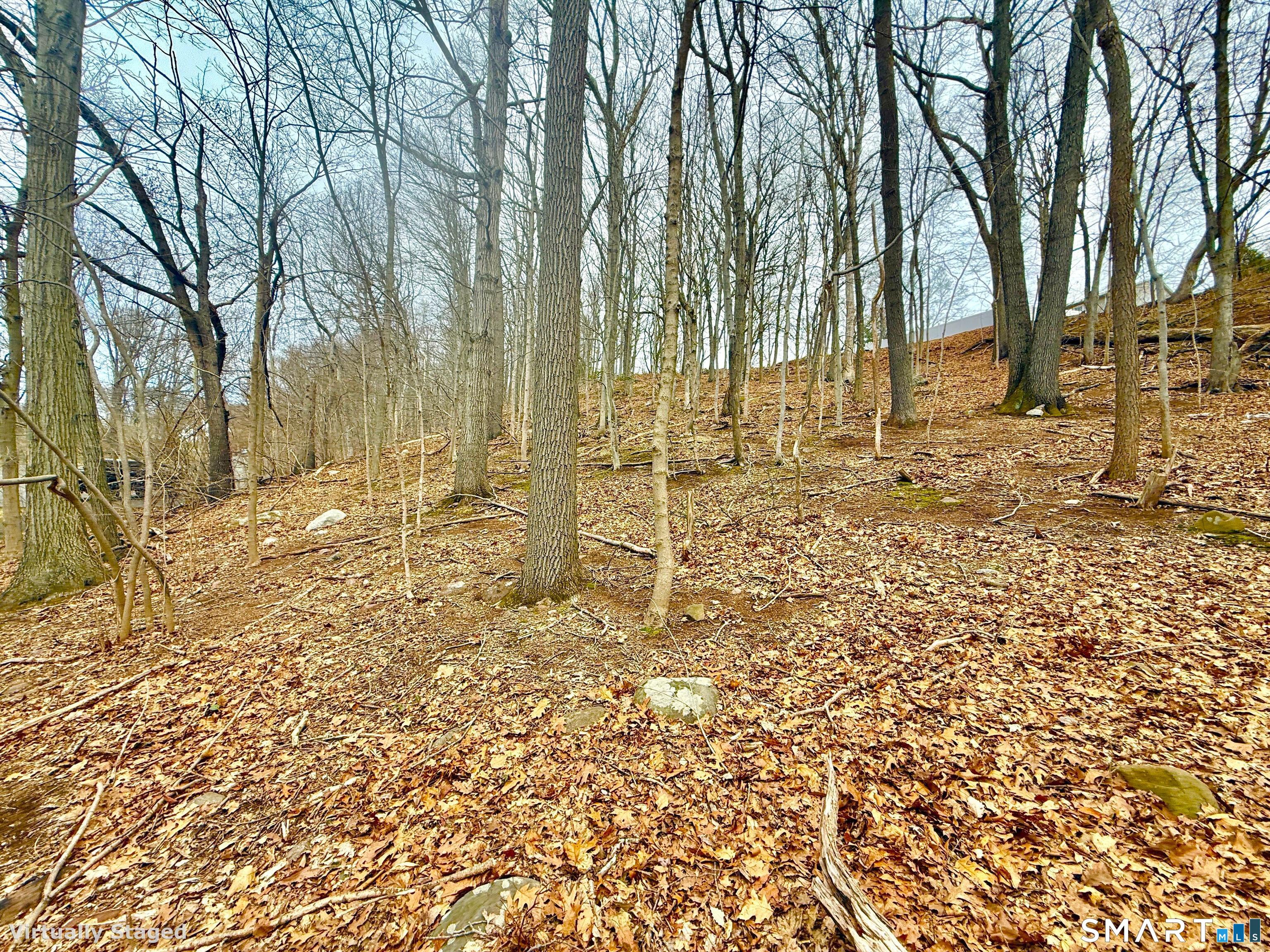 71 Dunbar Hill Road Hamden, CT 06514 - Photo 8 of 15 Gallery Image 8