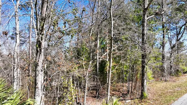 $6,800 | 455 Line Street, Chattahoochee, FL 32324