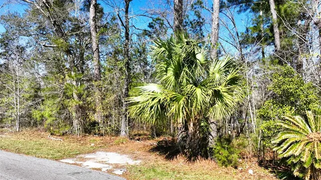 $6,800 | 455 Line Street, Chattahoochee, FL 32324